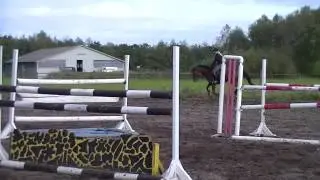 Bente//Padinus(Heartbreaker)/Optimist