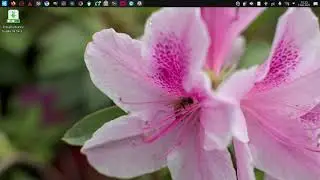 Ubuntu Studio 24.04.3 Live USB Ventoy Test 🐧😎👍