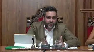 PLENO ORDINARIO 15-09-2025