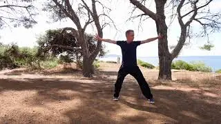 Qi Gong pour apaiser le coeur et calmer le sang (1ère forme) - Shu Xin Ping Xue Gong