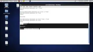 How to use cat command in linux?