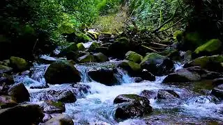 Calm Concentration with Mountain River Flowing Sounds, Soft Water White Noise