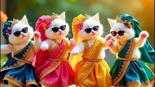 Cutest Cat videos funny dance🤣💃Videos for cats 🥰🥰