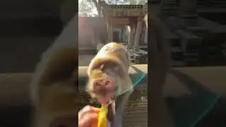 Скорость, с которой менялось его лицо... кошмар