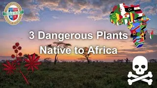 Top 3 Dangerous Plants in Africa🌿 | NSTEM