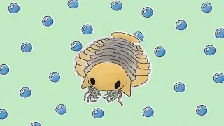 sanctacaris !! music for cambrian animals