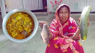 তেলাপিয়া মাছ স্কোয়াশ রান্না ও পাটের শাকের শুকাতি ভাজি খুব সুস্বাদু দুপুরের খাবার