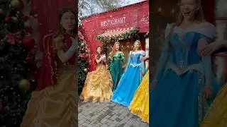 Snowfall✨#disneyprincess #princessdress #belle #aurora #merida #snowwhite #cinderella #cosplaygirl