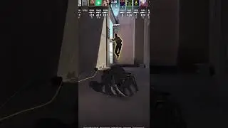 2 CS2 Vertigo Flashes You MUST Use