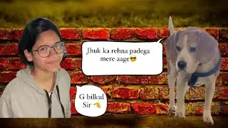 Isko coco se Milna tha 😂 aur mil le 🤣