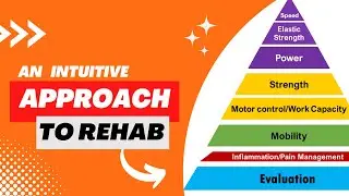 The Keys To Rehabilitation Success: The Hierarchy Of Rehabilitation And Athletic Development
