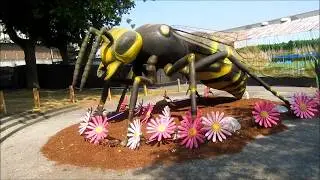 Xtreme bugs PNE 2017 08 29 Part 3