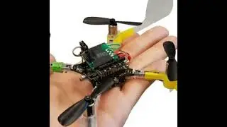 Los bugbots: Microrobots inspirados en insectos para explorar otros planetas