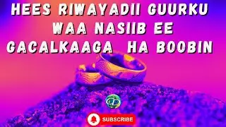 Hees Riwayaddii Guurka Waa Nasiib ee Gacalkaaga Ha Boobin