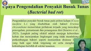 MIKROBIOLOGI PERTNIAN_Busuk Tunas Bakteri Erwinia chrysanthemi  Pohon Kelapa (Cocos&nbsp;nucifera&nbsp;L.)