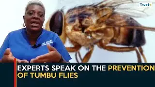 Preventing Tumbu Flies: Experts Speak On The ABC of Prevention