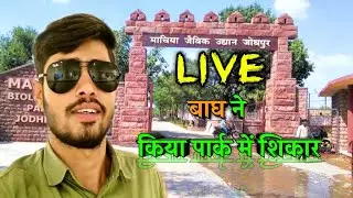 माचिया  पार्क जोधपुर  || #Machiya Safari park #jodhpur