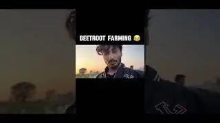 Beetroot farming vlog. Fun in village with friends.