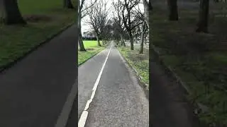 Hyde park view