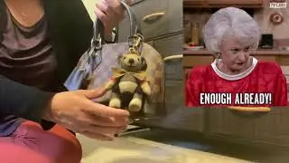 Распаковка Burberry Thomas Bear и мои сумки LV