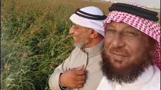 زيارة بعض أعضاء  منتدى مزارعي جازان إلى مزارع هادي يحي طالبي بالركوبة ١٤٤٤/٦/٥ هـ