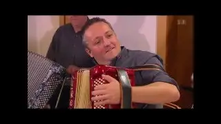 Schwarzer Kater Ueli Wanderon, LQ wasch&auml;cht