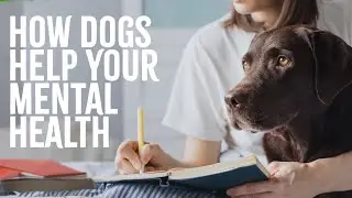 7 Ways Dogs Can Help Your Mental Health