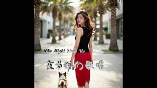 夜为我们歌唱 The Night Sings Us