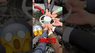 🐟😳 Почему сотни рыб сбрасывают в озеро! #животные #природа #экосистема