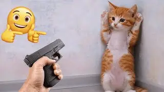 You Laugh You Lose 😹 Funniest Cats and Dogs 2026 🐈💝