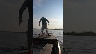 Wasp ATTACKS Fisherman!! #fishing