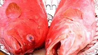 Baked Whole Fish | Red Snapper Healthy Oven Recipe | Juicy, Zesty & Oven Perfect! 🔥