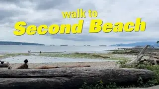 Week 27 | Relaxing walk to Vancouver's Second Beach via Comox Street | Unboxing fresh supplies