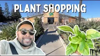 First time going plant shopping in 2025 + my favorite Sacramento nursery