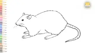 Rat drawing easy | How to draw A Rat step by step