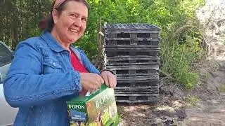 ROBIMY TARLISKA, Wozimy JESIOTRY I TOŁPYGI, WYLĘGI SZCZUPAK&Oacute;W - PRACE PRZY STAWACH I BASENACH