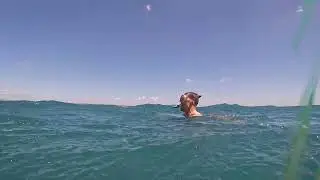 2025 6 Snorkeling at Mbudya island (Dar es Salaam)