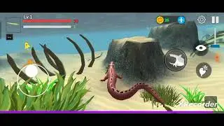 fish feed and grow #hi games studio