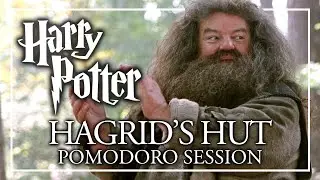 STUDY IN HAGRID'S HUT - Harry Potter Pomodoro Session - Harry Potter ASMR