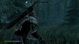 У меня шиза, играя в Скайрим сложно не поиграть в Скайрим. TES V Skyrim AE