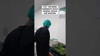 COMMERCIAL KITCHEN VLOG #shorts #trending #weekend #kitchen #nightlife #cooking #salad #Vlog #safety