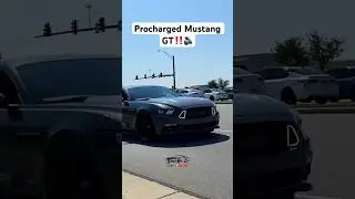 Procharged Mustang GT!