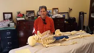 14 Rolfing helps the fibula bone in your lower leg remain flexible and strong, reducing strain.