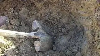 Digging For Geodes