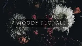 TV Art Slideshow | Dark & Moody Floral Photography | 1 HR 4K *Changes Every 10 Minutes*