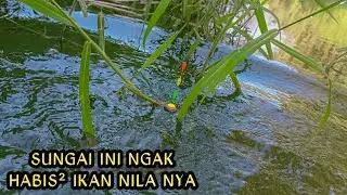 Serangan Beruntun,,!! strek bertubi tubi mancing nila - umpan sederhana dapat banyak