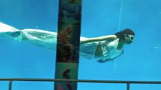 MIRZAPUR JALPARI🧜🏻‍♀️SHOW | DUBAI MELA IN MIRZAPUR JAL PARI SHOW #viralvideo #jalpari #video #vlog 
