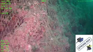 EPRONS ROV D500 discovered ghost net on Coral reef