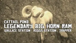 Cattail Pond; Legendary Big Horn Ram; Wallace Station; Riggs Station; Trapper [CIIE218 RDRII]