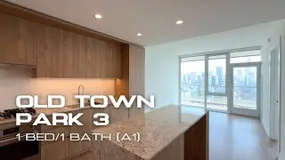 Old Town Park 3 | 1 Bed/1 Bath (A1) - Chicago Luxury Apartments for Rent in Near North Side